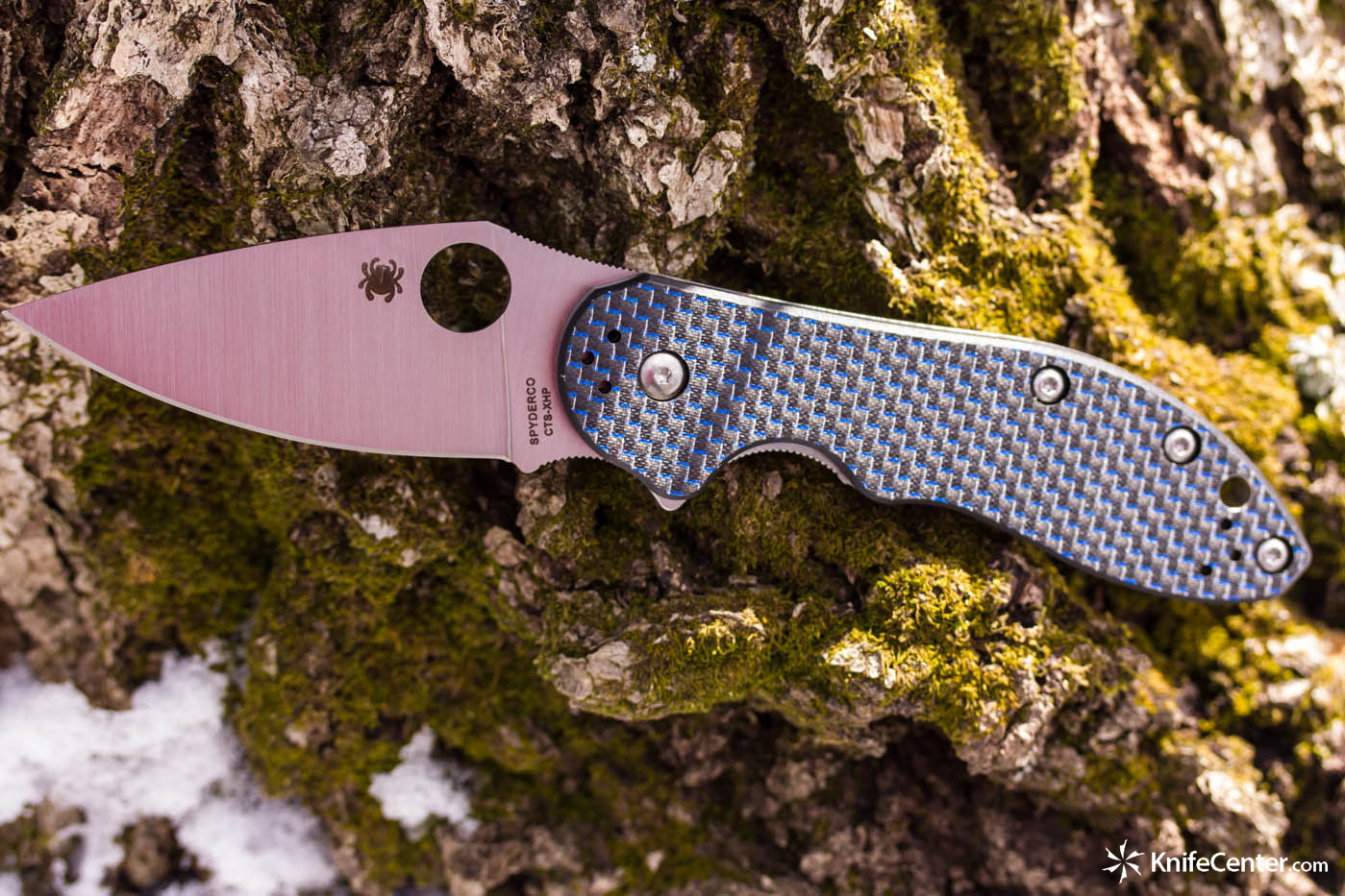 Spyderco C172CFBLTIP Domino Folding Knife | KnifeCenter Blog