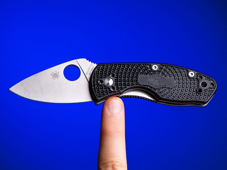 Spyderco Ambitious Lightweight Black FRN Folder