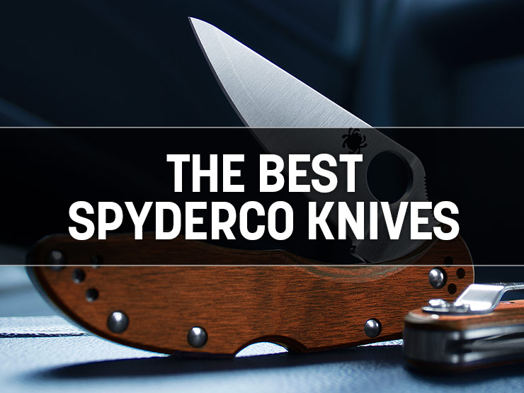 Best Spyderco Knives: Top Picks